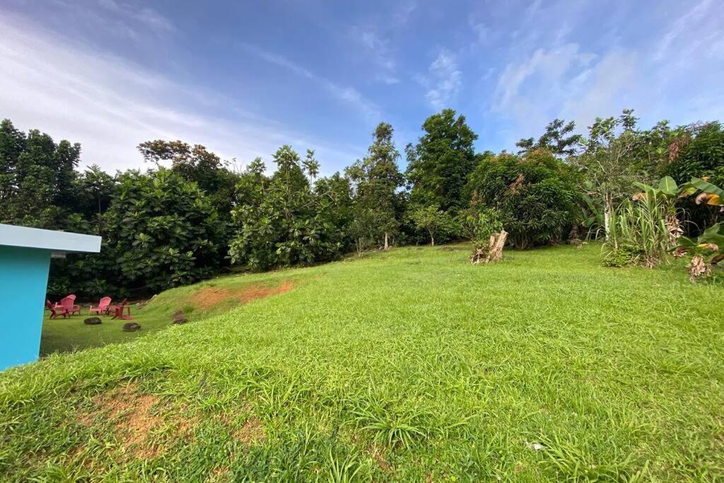 Rainforest Retreat 15 Min From The Beach Luquillo Exteriér fotografie