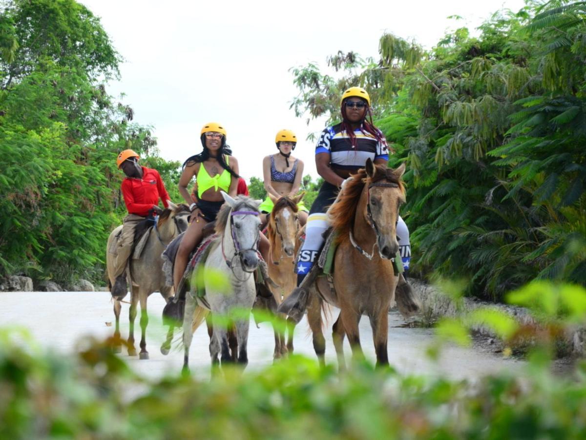 Rainforest Retreat 15 Min From The Beach Luquillo Exteriér fotografie