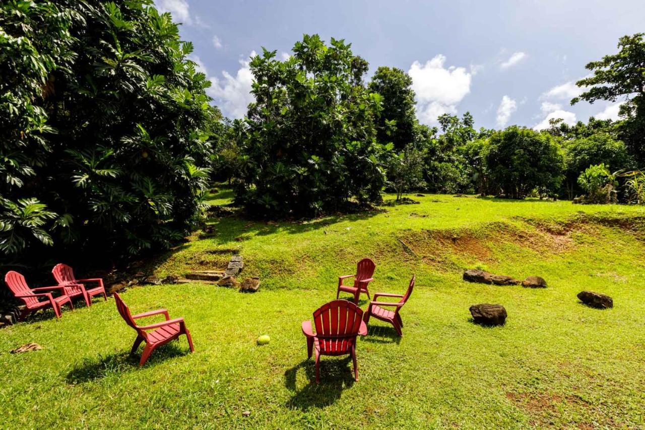 Rainforest Retreat 15 Min From The Beach Luquillo Exteriér fotografie