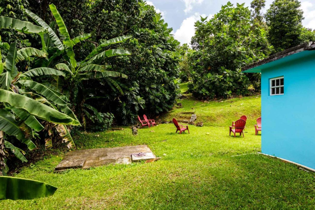 Rainforest Retreat 15 Min From The Beach Luquillo Exteriér fotografie