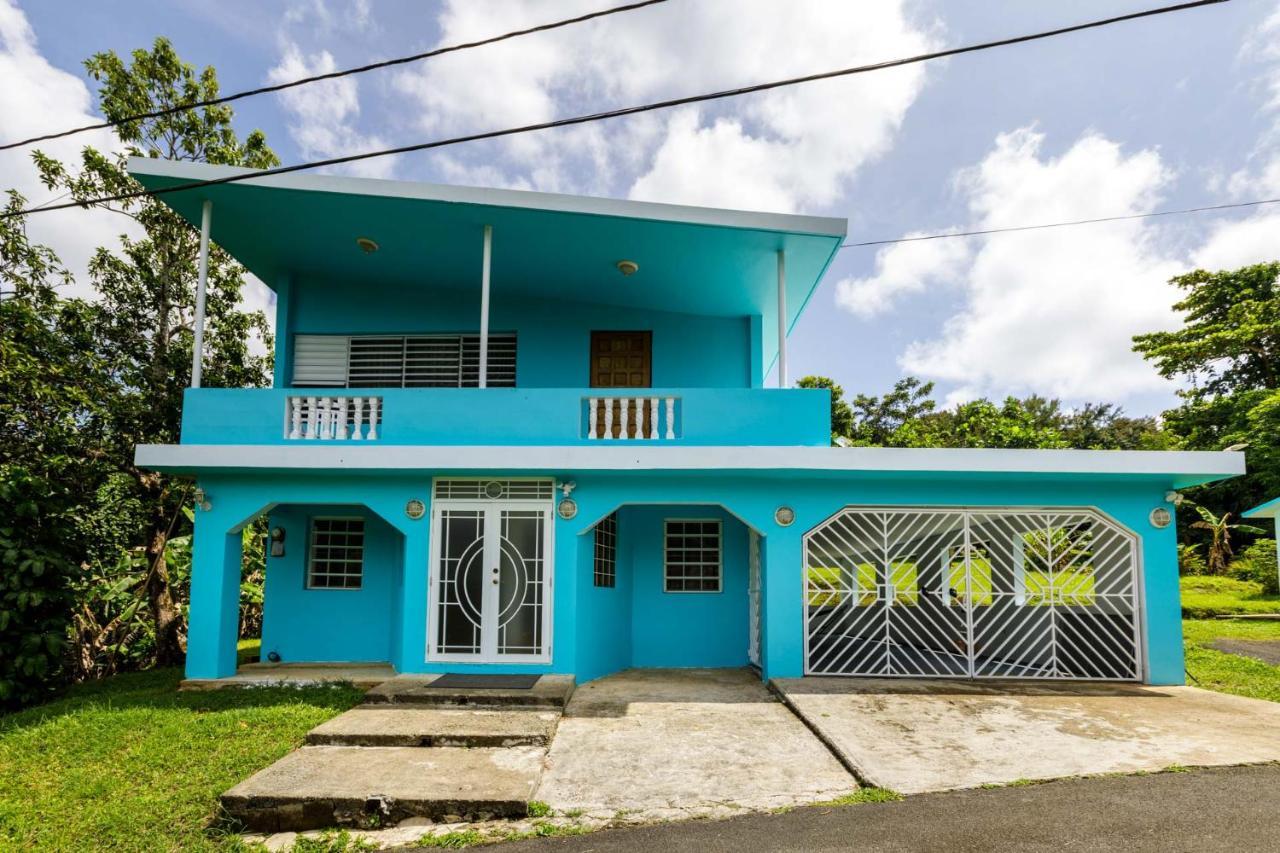 Rainforest Retreat 15 Min From The Beach Luquillo Exteriér fotografie